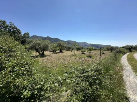 Terreno en calle de Orilla Perales, 1