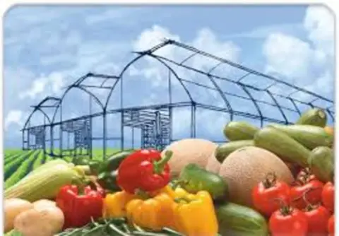 Terreno en Avenida de las Siete Higueras, 1