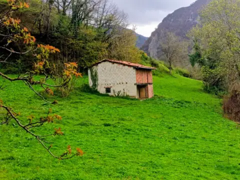 Terreno en As-117, 1