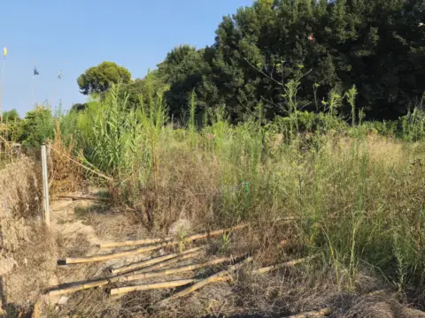 Finca rústica en Carrer de Riba-roja de Túria, 1
