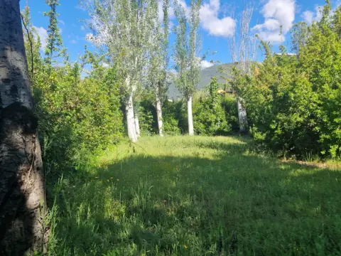 Chalet adosado en Avenida de la Viña, 16