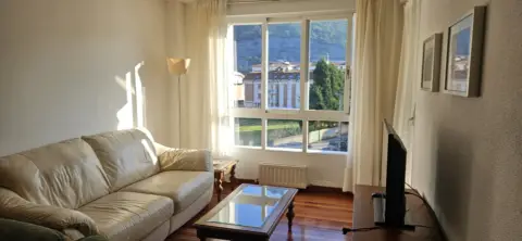 Piso en calle Oriñon,  29