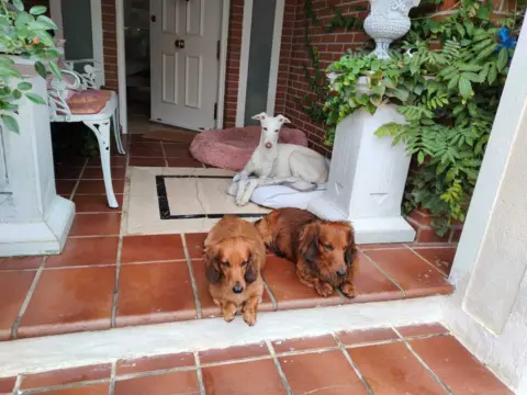 Chalet unifamiliar en Avenida de Chapinería, 2