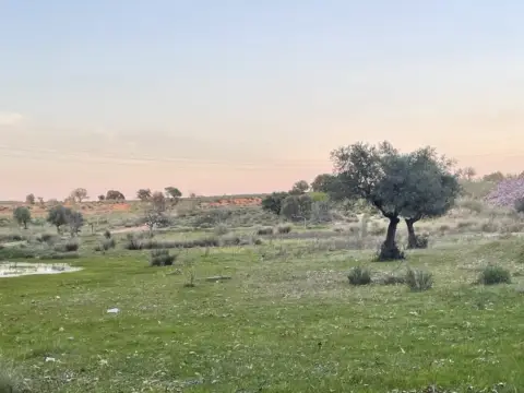 Finca rústica en Carretera de la Ruta de la Plata, 4