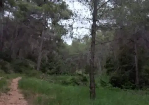 Finca rústica en calle Diputación, 1