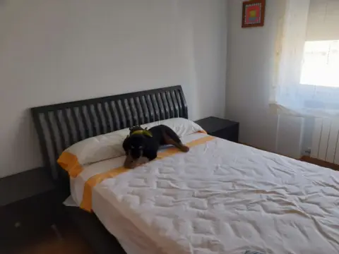 Casa pareada en calle de la Constitución, 19