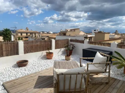 Estudio en Carrer de la Teulera, 56