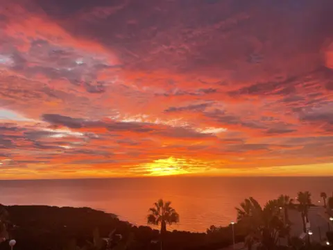 Piso en Avenida Desert de les Palmes, 5