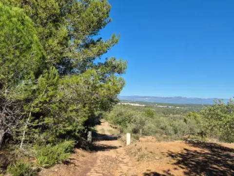 Finca rústica en CV-137,  1