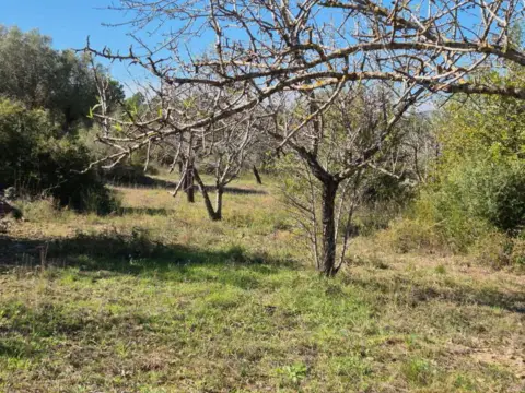 Finca rústica en CV-137,  1