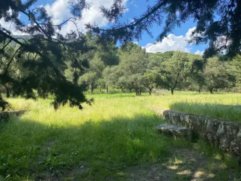 Finca rústica en calle de las Erillas, 13