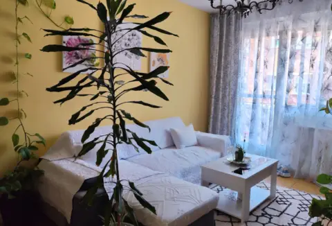 Habitación en Avenida Plaza De Toros, 5