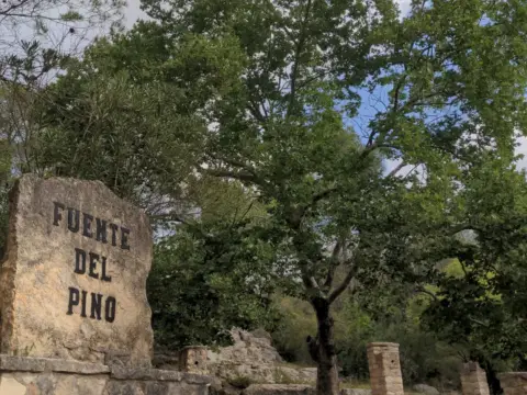 Finca rústica en Camino Camino de La Ceja del Río Grande,  1