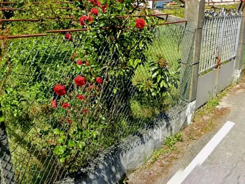 Finca rústica en calle Lugar O Cimbelo,  1