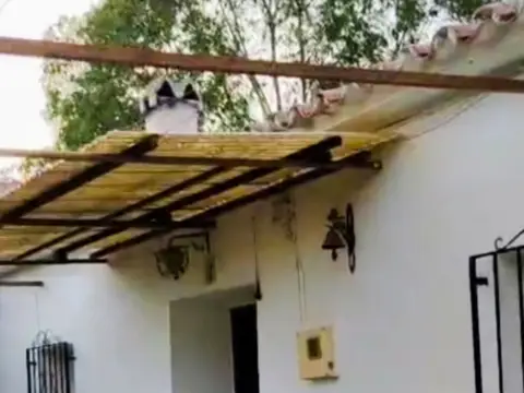 Finca rústica en Ma-3107,  1