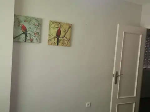 Piso en calle Blasco Ibáñez, 14