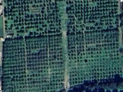 Finca rústica en calle calle de La Madreselva,  41