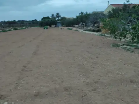 Finca rústica a calle del Alcalde José María Tárraga, 12