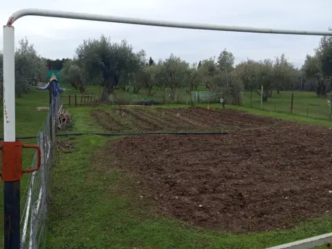Terreno en Camino Camino Caseta de Vedrid, 1