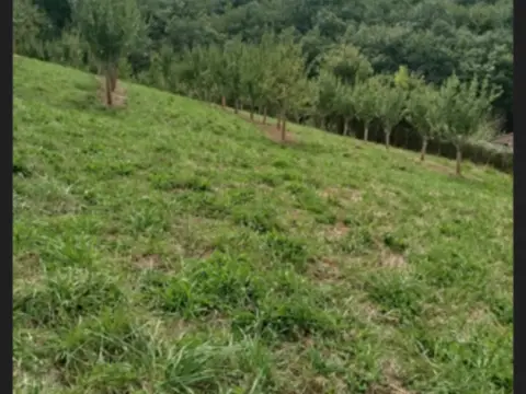 Finca rústica en Paderne,  1