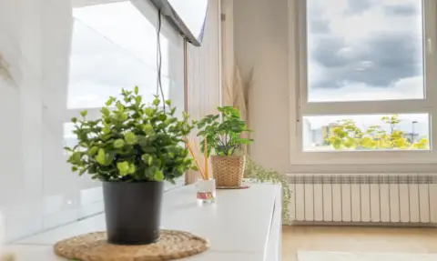 Apartamento en Benjamín Tuterakoaren Kalea, 21