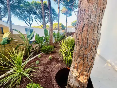 Casa adosada en calle Joviano, 232