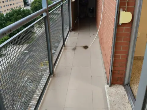 Piso en Avenida Emilio Lemos, 55