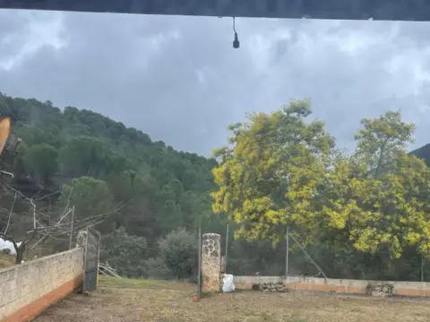Finca rústica en Camino de Solana del Pino a Ventillas, 1
