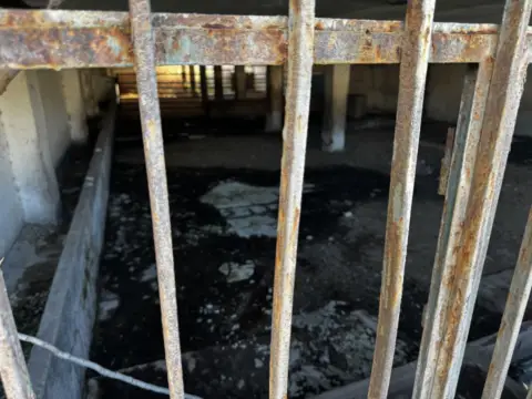 Nave industrial en Paseo de la Barrosa, 20