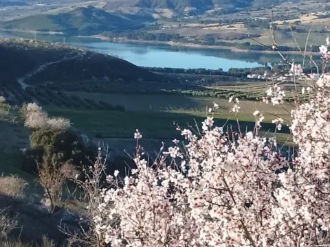 Finca rústica en Poblado del Embalse,  1