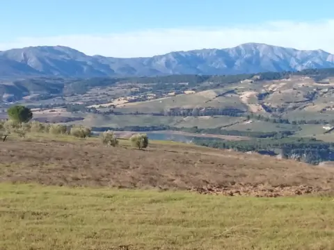 Finca rústica en Poblado del Embalse,  1
