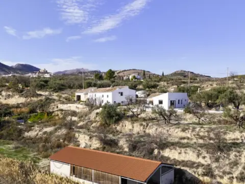 Finca rústica en Canales,  1
