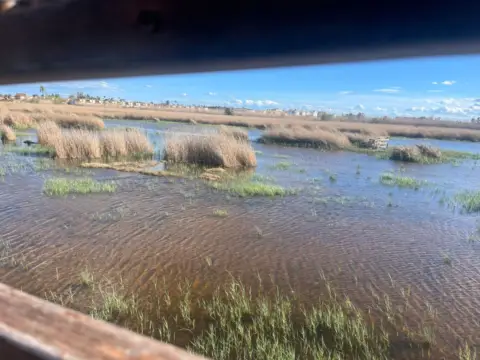 Apartamento en Carrer Merla, 1