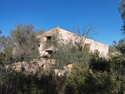 Finca rústica en Camí de l'Ametlla de Mar al Perelló, 1