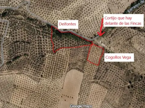 Terreno en calle de la Cruz, 1