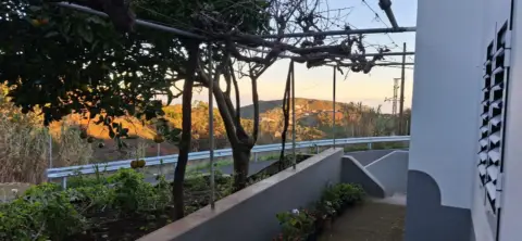 Finca rústica en calle Piedra de Molino, 1