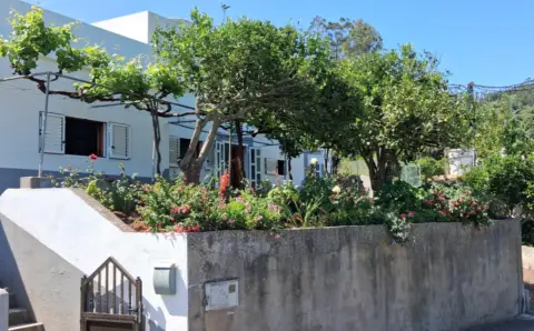 Finca rústica en calle Piedra de Molino, 1