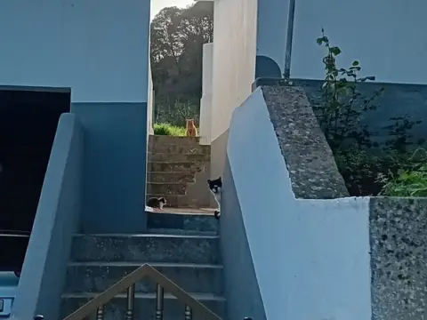 Finca rústica en calle Piedra de Molino, 1