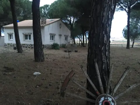 Finca rústica en Camino de Simancas, 5