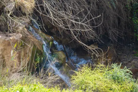 Chalet rústico en Autovía MA-24, 1