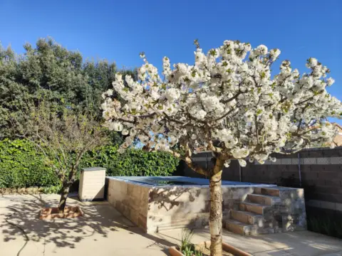 Chalet unifamiliar en Pioz