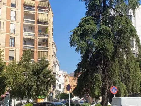 Garaje en calle Sol, 1