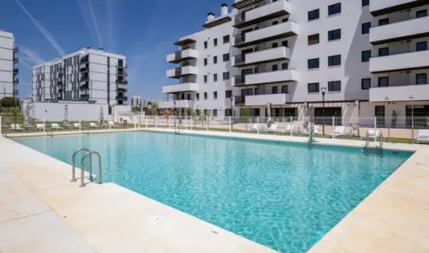 Piso en Avenida Avenida Universidad Pablo Olavide,  1