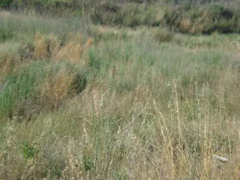 Terreno en Institut