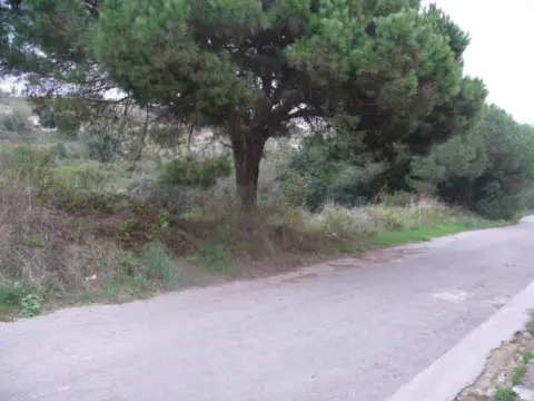 Terreno en Carrer de l'Alzina