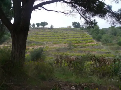 Terreno en Carrer de l'Alzina
