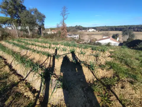 Terreno en Carrer de l'Empordà, 841