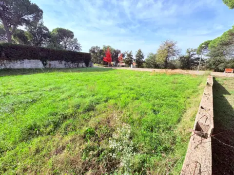 Terreno en Carrer Alguer, 55