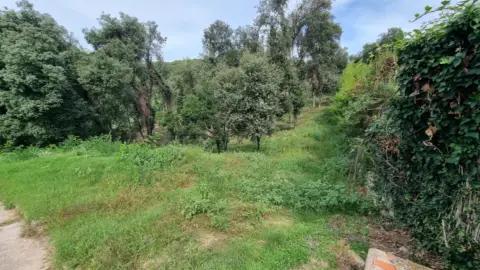 Terreno en calle Tórtora, nº 145