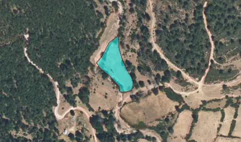 Finca rústica en Pasaje Mimbrera, Par. 41